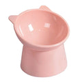 Pet Bowl 45-Degree Tilted Elevated Easy-Clean Surface
