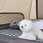 Picnic Blanket Water-Repellent Backing Foldable With Handle