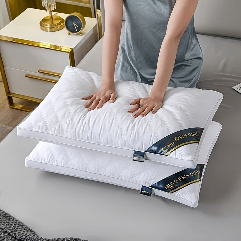 Pillow Set Hypoallergenic 3D Quilting Machine Washable