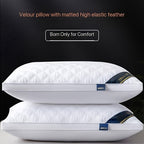 Pillow Set Hypoallergenic 3D Quilting Machine Washable