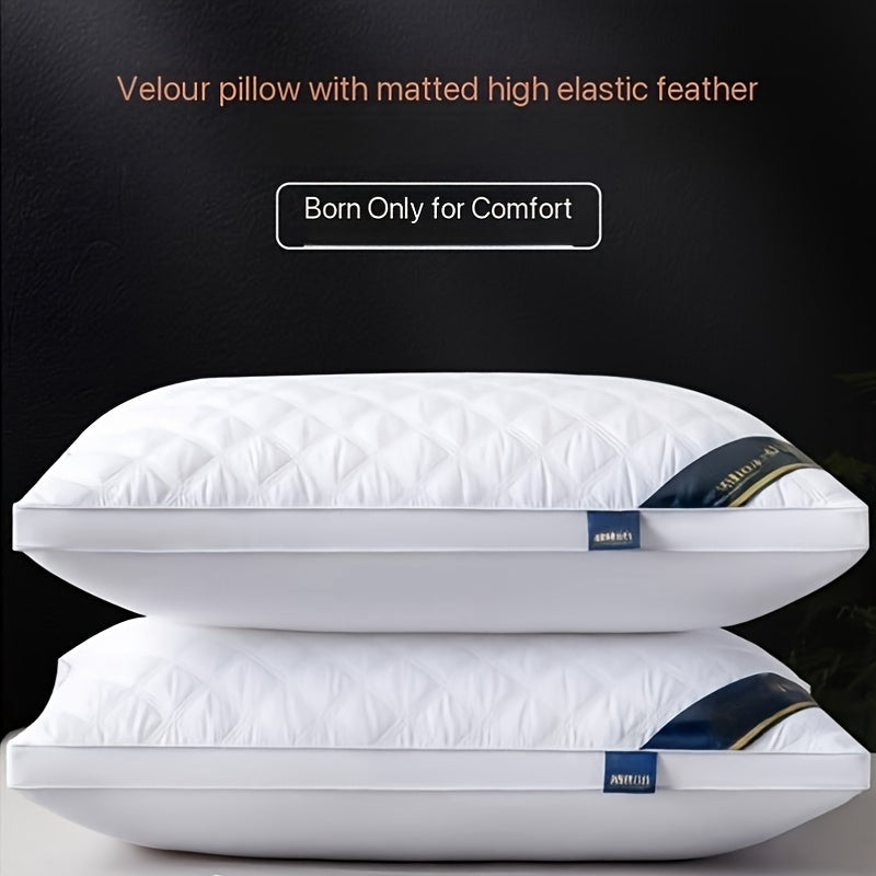 Pillow Set Hypoallergenic 3D Quilting Machine Washable