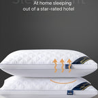 Pillow Set Hypoallergenic 3D Quilting Machine Washable