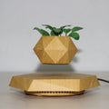 Plant Pot Magnetic Levitation 360° Rotation