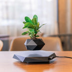 Plant Pot Magnetic Levitation 360° Rotation