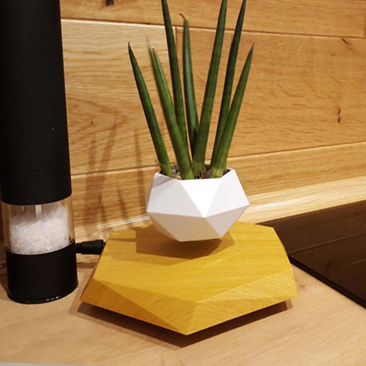 Plant Pot Magnetic Levitation 360° Rotation
