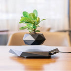 Plant Pot Magnetic Levitation 360° Rotation