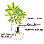Plant Sensor Moisture & Nutrient Bluetooth App