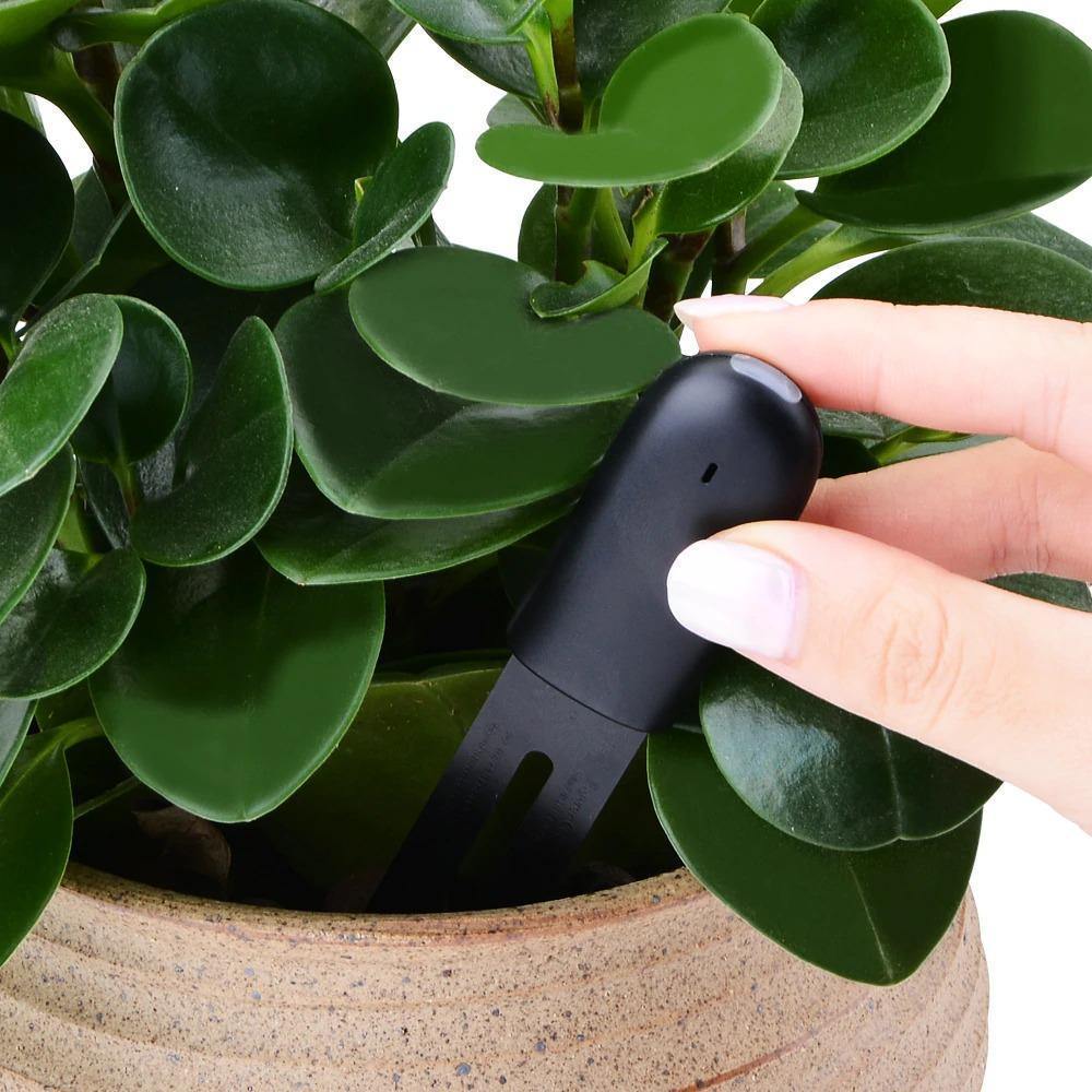 Plant Sensor Moisture & Nutrient Bluetooth App