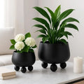 Planter Set Ceramic Modern Minimalist Set of 3