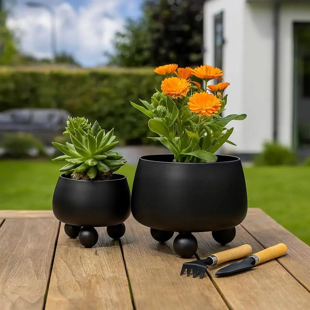 Planter Set Ceramic Modern Minimalist Set of 3