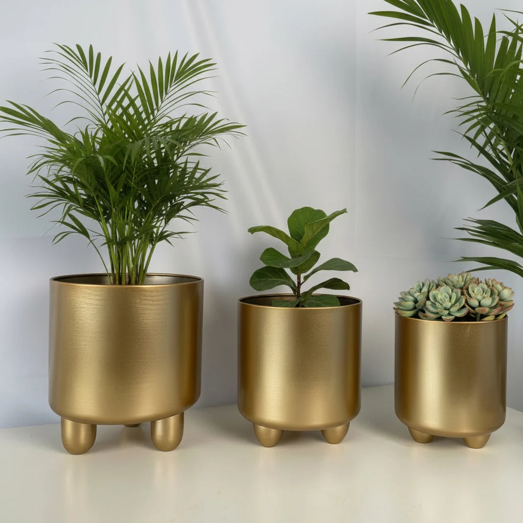 Planter Set Ceramic Modern Minimalist Set of 3
