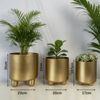 Planter Set Ceramic Modern Minimalist Set of 3