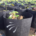 Planting Bag Breathable Felt Fabric UV-Resistant & Reusable