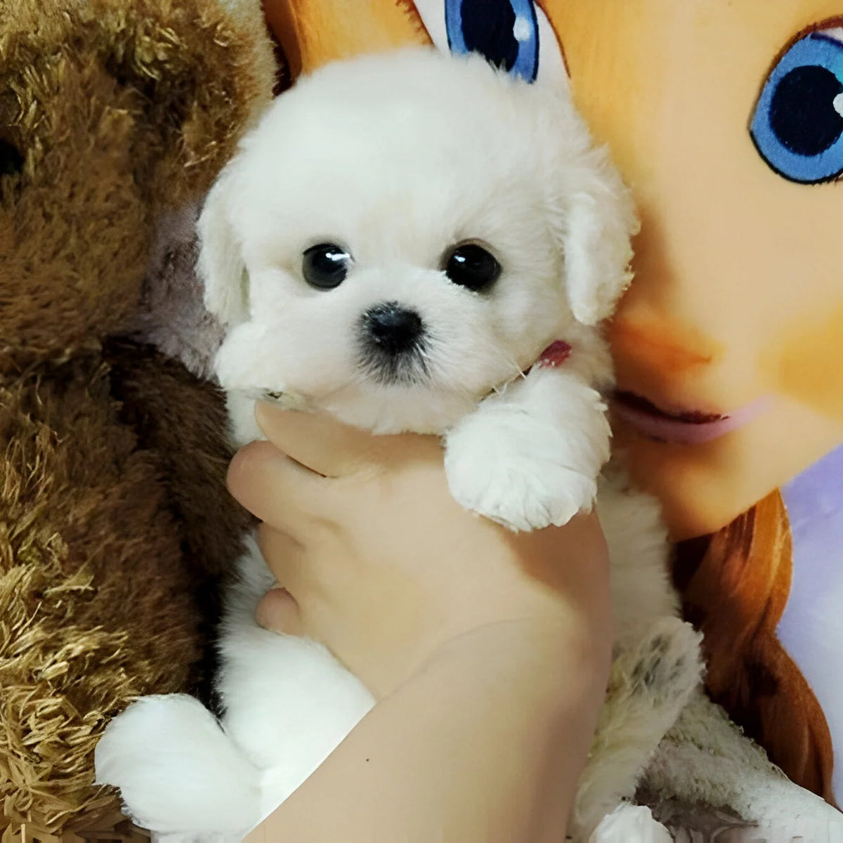 Plush Puppy Toy Weighted & Poseable Floppy Body