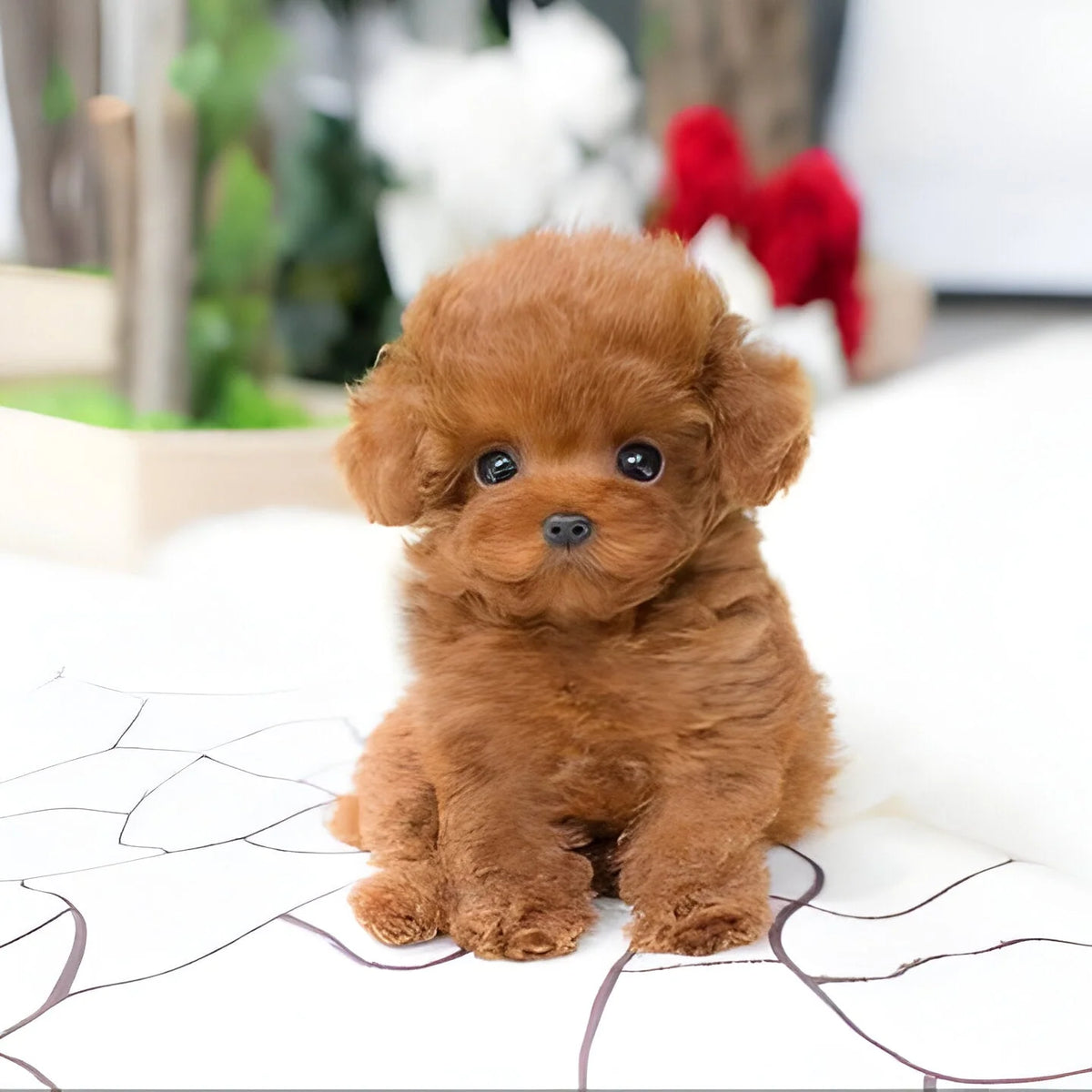 Plush Puppy Toy Weighted & Poseable Floppy Body