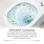 Porcelain Cleaner Oxalic Acid Rust & Limescale Remover