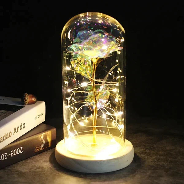Preserved Rose Display Clear Dome LED Lighted Base