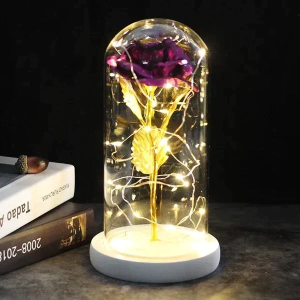 Preserved Rose Display Clear Dome LED Lighted Base