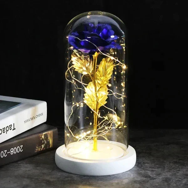 Preserved Rose Display Clear Dome LED Lighted Base