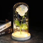 Preserved Rose Display Clear Dome LED Lighted Base