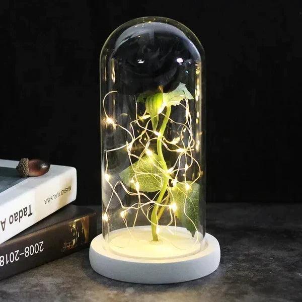 Preserved Rose Display Clear Dome LED Lighted Base