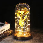 Preserved Rose Display Clear Dome LED Lighted Base