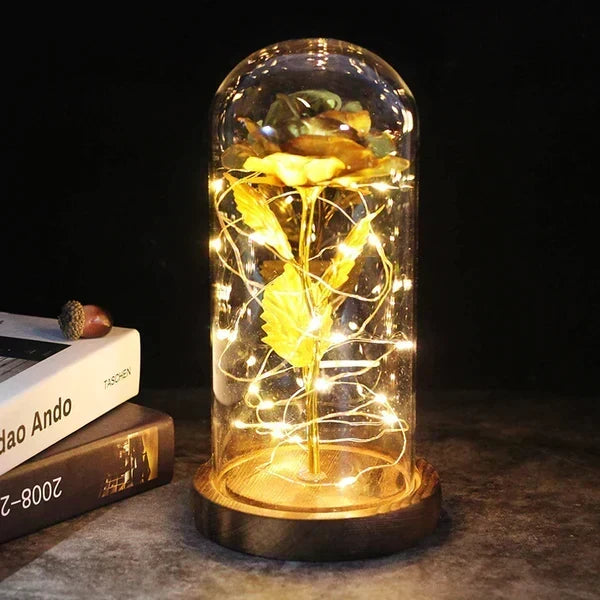 Preserved Rose Display Clear Dome LED Lighted Base