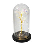 Preserved Rose Display Clear Dome LED Lighted Base