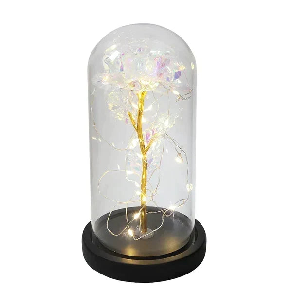 Preserved Rose Display Clear Dome LED Lighted Base