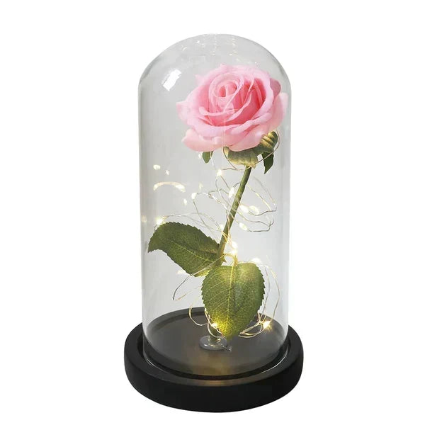Preserved Rose Display Clear Dome LED Lighted Base