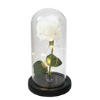 Preserved Rose Display Clear Dome LED Lighted Base