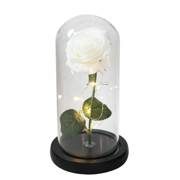 Preserved Rose Display Clear Dome LED Lighted Base