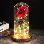 Preserved Rose Display Clear Dome LED Lighted Base
