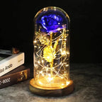 Preserved Rose Display Clear Dome LED Lighted Base