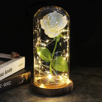 Preserved Rose Display Clear Dome LED Lighted Base