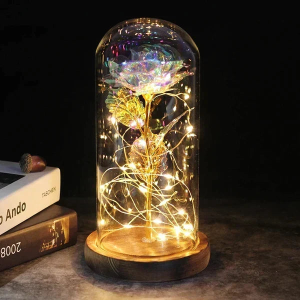 Preserved Rose Display Clear Dome LED Lighted Base