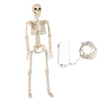 Skeleton Decoration Set Warm LED Light Two-Piece Indoor Outdoor Use