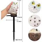 Solar Garden Light Warm White LED Dusk-to-Dawn