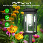 Solar Pathway Lights Lantern Design Filament-Style LED