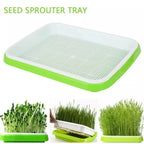 Sprouting Tray 2-Layer Hydroponic BPA-Free