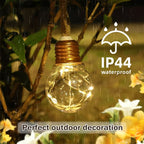 String Lights Clear Bulbs Warm LED Lighting