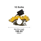 String Lights Clear Bulbs Warm LED Lighting