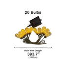 String Lights Clear Bulbs Warm LED Lighting