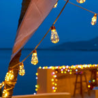String Lights Clear Bulbs Warm LED Lighting