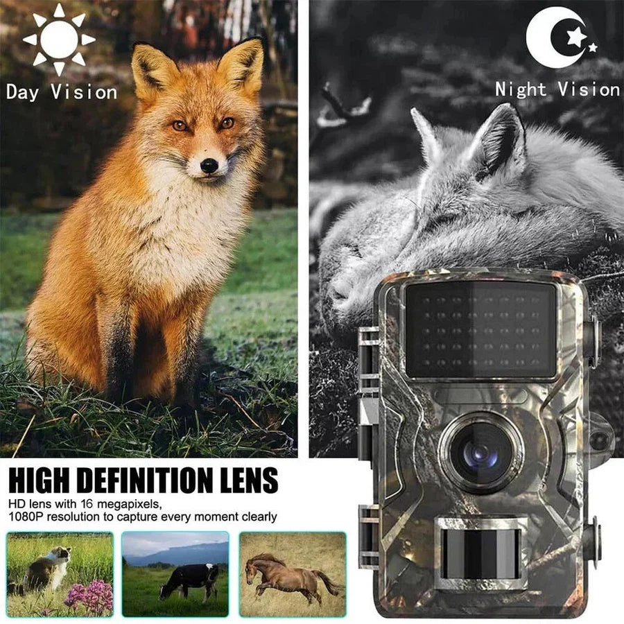 Trail Camera 16MP No-Glow Infrared Night Vision IP66 Waterproof