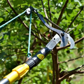 Tree Pruner Telescopic Handle Double Pulley