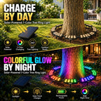 Tree Ring Light Solar-Powered Color-Changing RGB