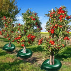 Tree Watering Bag Controlled Drip Water-Saving
