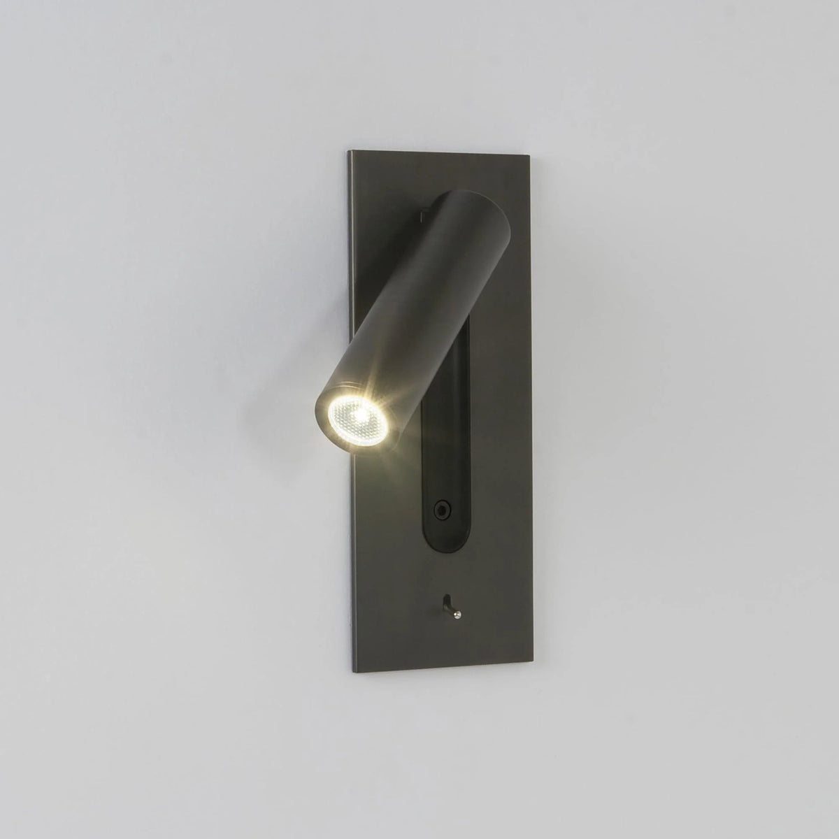 Wall Lamp Integrated LED Adjustable Color Temperature Built-In Switch