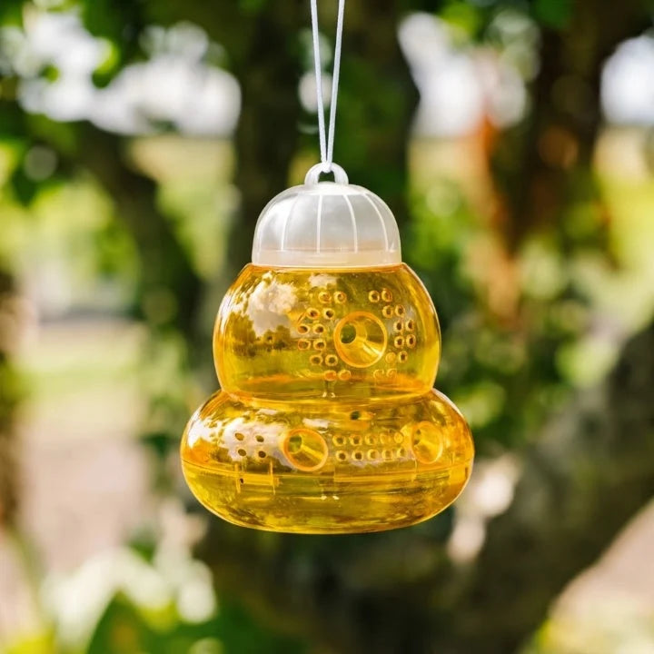 Wasp Trap Hanging Chemical-Free & Reusable